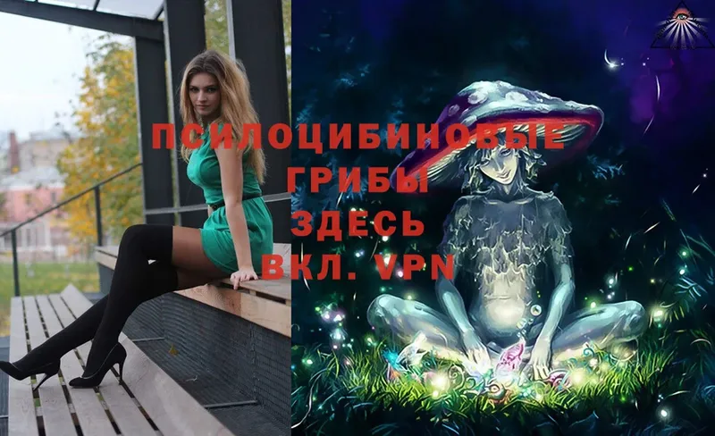 MEGA   Инта  Галлюциногенные грибы Psilocybe  купить наркоту 